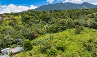 Flat Coffee Land with Mountain Views in Palmira