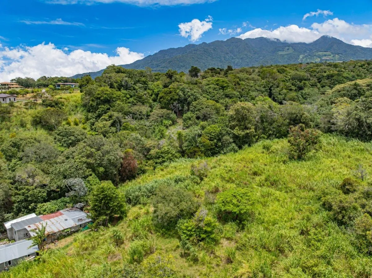 Flat Coffee Land with Mountain Views in Palmira