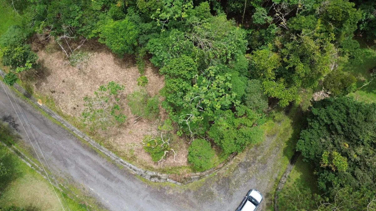 14,755 sq ft Corner lot in Altos del Maria