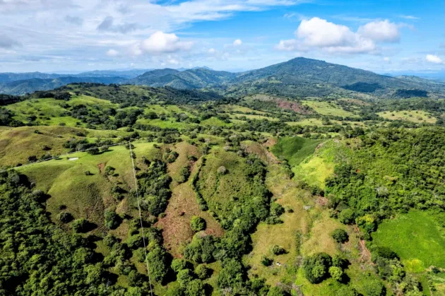 29 Ha Farm in Palmira Las Tablas Los Santos Panama