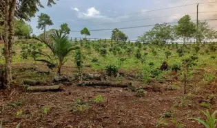Terreno de 5.649 m² en venta en Vía Toabré, Cocle