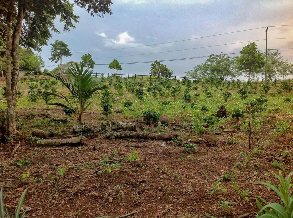 Terreno de 5.649 m² en venta en Vía Toabré, Cocle