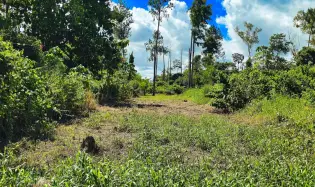 Lote de Terreno en La Estrella, Bugaba – Amplio, Accesible y con Excelente
