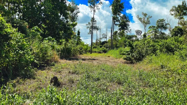 Lot of land in La Estrella, Bugaba