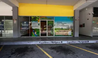 Se alquila local comercial en albrook
