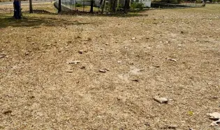 Land in Santa Fe de Las Lajas