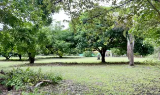 Venta de Terreno en Gorgona