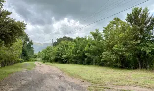 Venta de Terreno en Gorgona