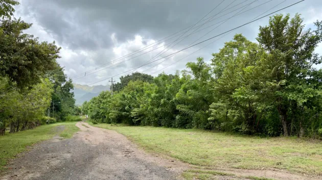 Venta de Terreno en Gorgona