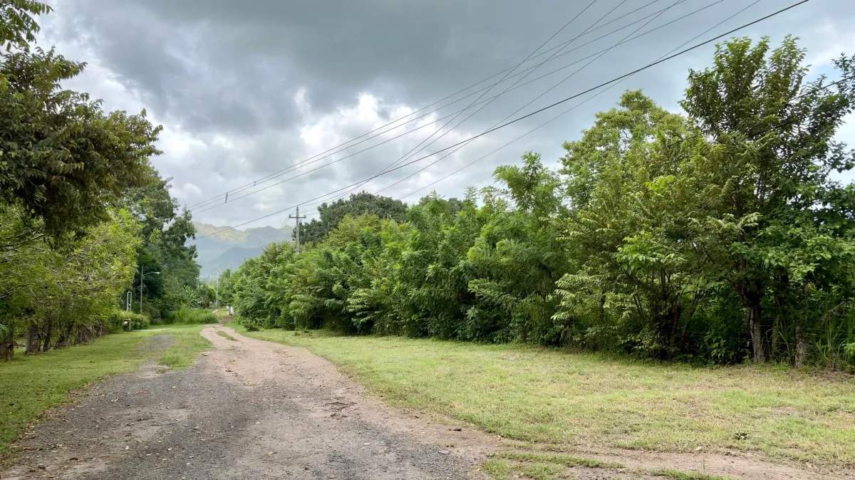 Land for sale in Gorgona