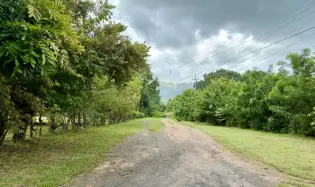 Venta de Terreno 1 en Gorgona