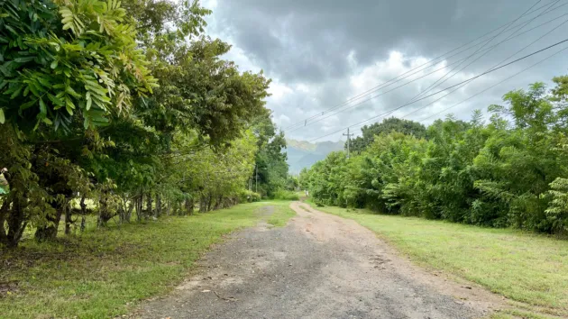 Venta de Terreno 1 en Gorgona