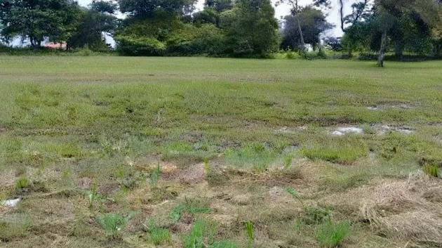Land for sale in Coronado