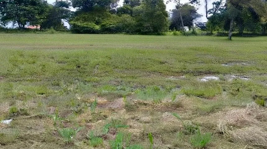 Venta de Terreno en Coronado