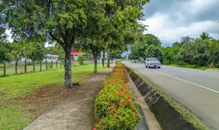 Roadside property with 2,906 m² in Dolega