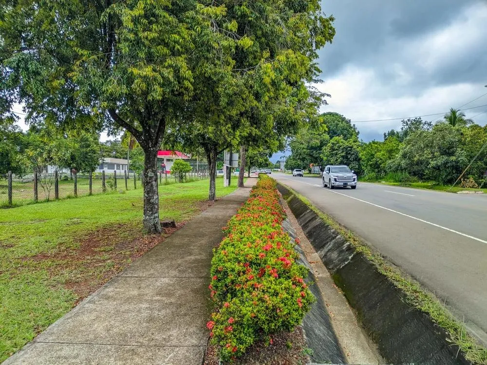 Terreno a pie de carretera con 2,906 m² en Dolega