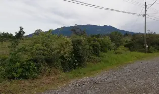Expansive 5 Hectares for Sale in Alto Boquete