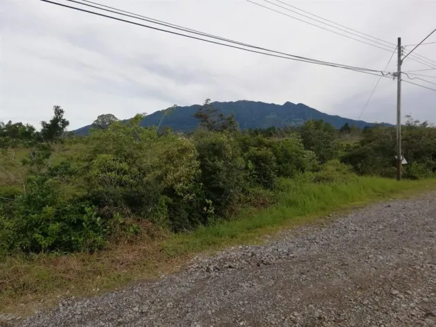 Expansive 5 Hectares for Sale in Alto Boquete