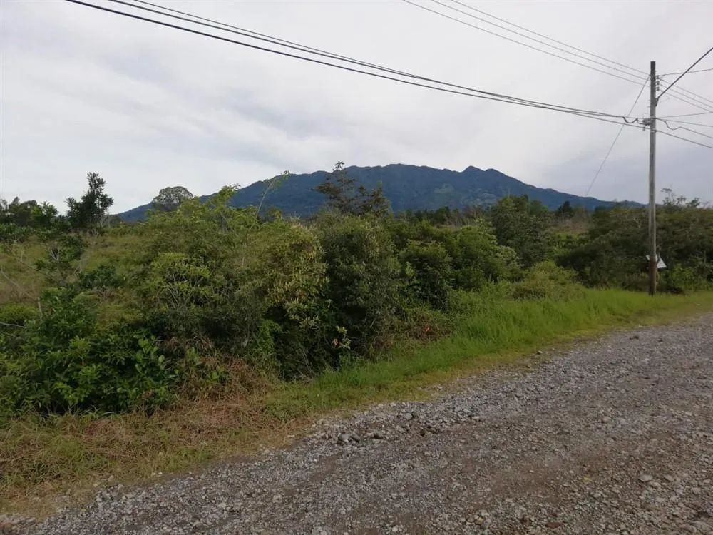 Expansive 5 Hectares for Sale in Alto Boquete