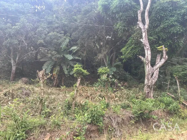 4-Hectare Lot for Sale in Veracruz, Panama