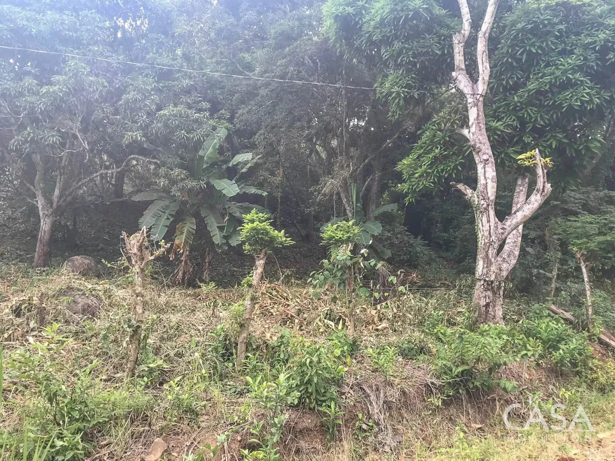 Terreno de 4 hectáreas en venta en Veracruz, Panamá