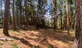 LARGE LAND WITH MOUNTAIN VIEWS