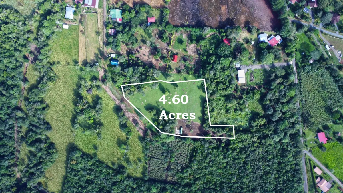 Lote de 1.86 Hectáreas en Potrerillos Arriba Dolega