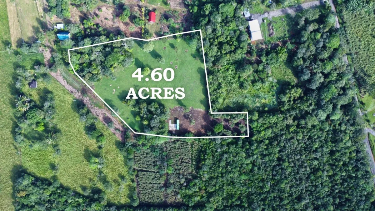 Lote de 1.86 Hectáreas en Potrerillos Arriba Dolega