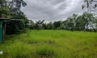Amplio Terreno Plano de 9.229 m² en Alto Boquete