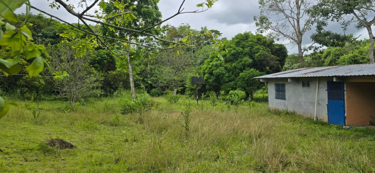 Venta de terrenos en Nuevo Emperador, Arraiján. MY