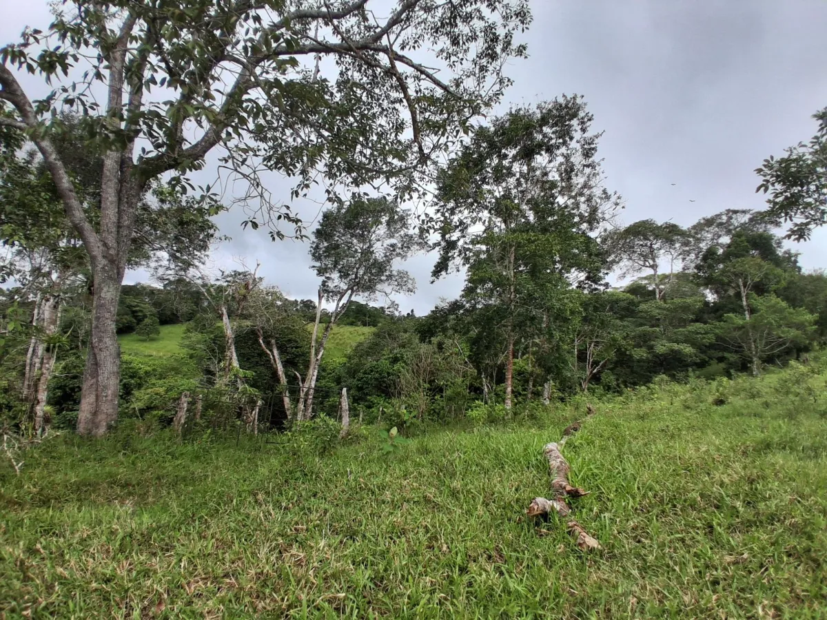 Finca con tierra negra, pasto, clima fresco y bien ubicada.