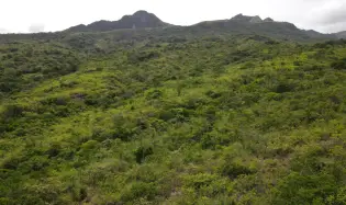 Attractive 8.3 hectares near Santa Fe