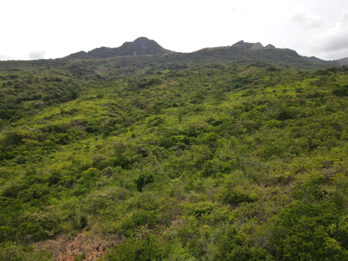 Attractive 8.3 hectares near Santa Fe