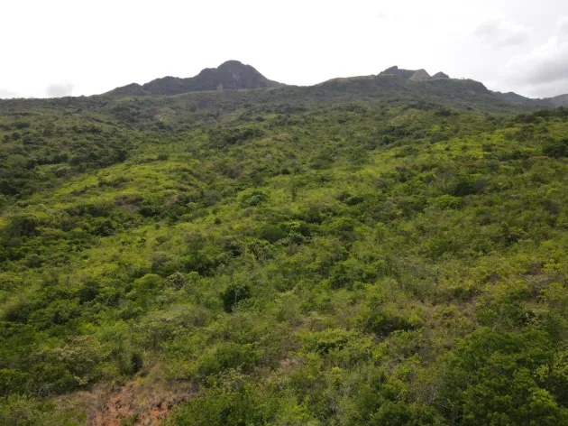 Attractive 8.3 hectares near Santa Fe
