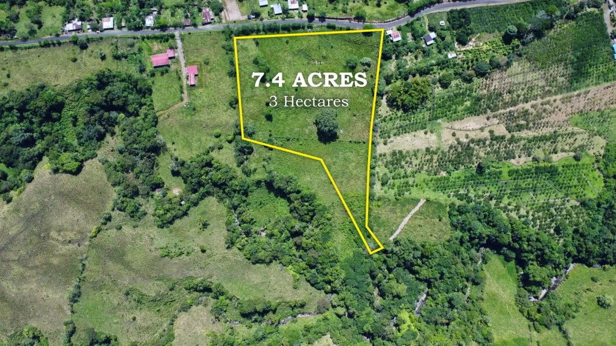 7.41 Acre Buildable Lot with Scenic Views in Santa