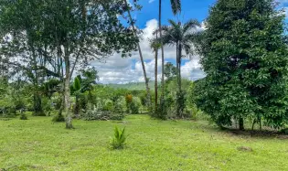 1.89 Acres of Flat Land with House in Renacimiento