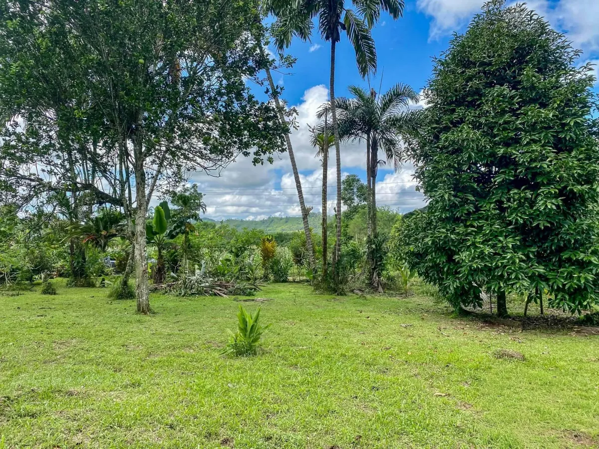 1.89 Acres of Flat Land with House in Renacimiento