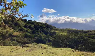 Cattle farm or private retreat