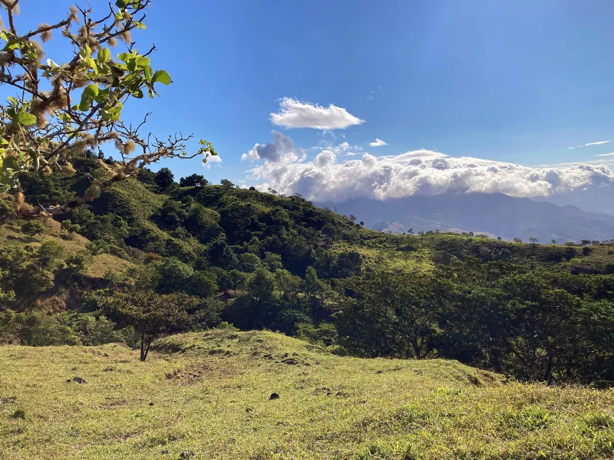 Cattle farm or private retreat