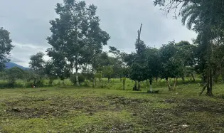 VENTA TERRENO POTRERILLOS CHIRIQUI