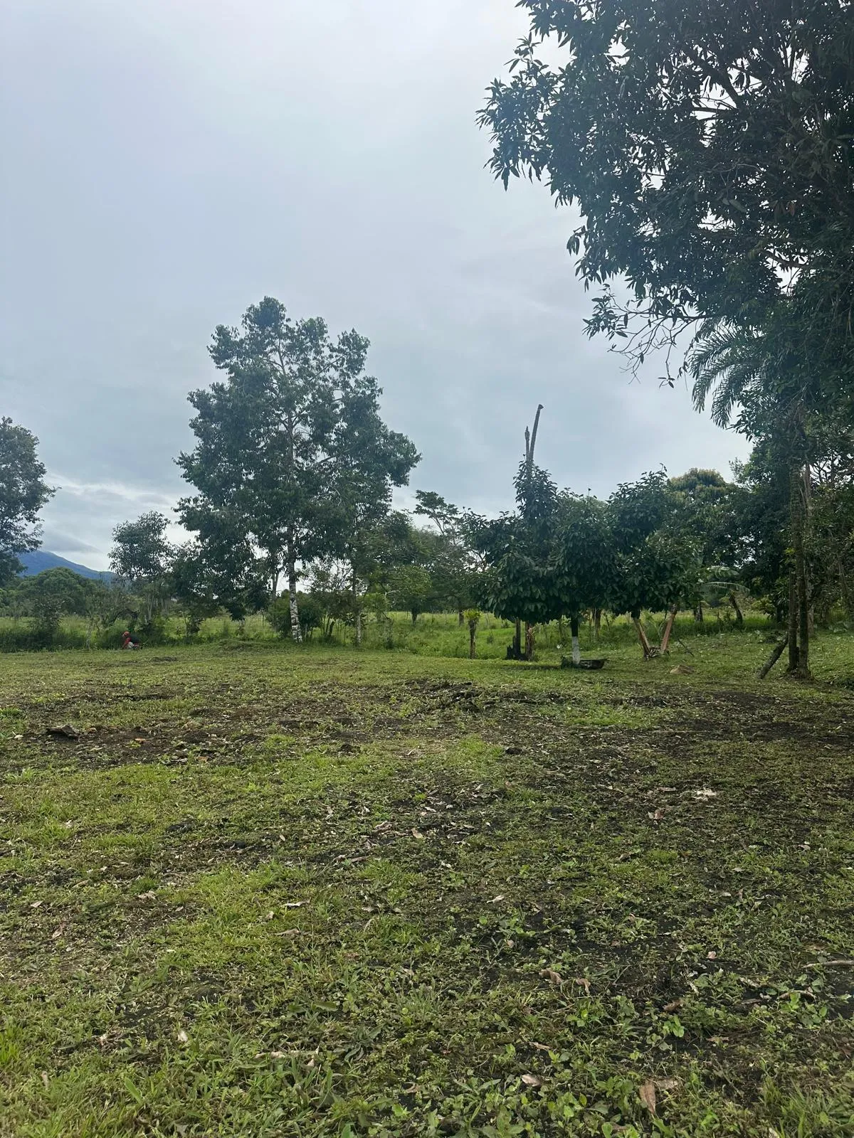 VENTA TERRENO POTRERILLOS CHIRIQUI