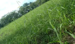 VENTA TERRENO EN BUGABA CHIRIQUI