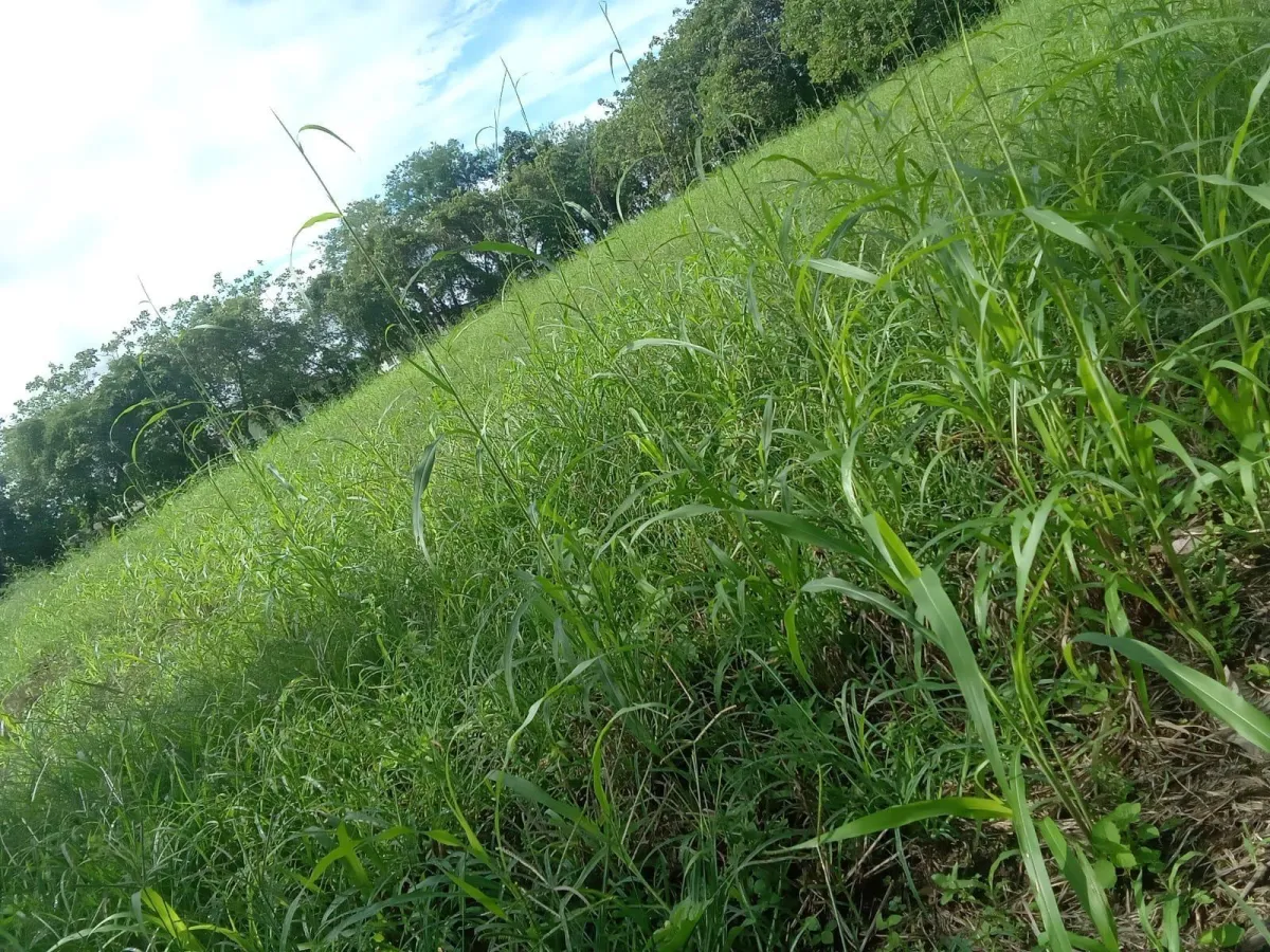 VENTA TERRENO EN BUGABA CHIRIQUI