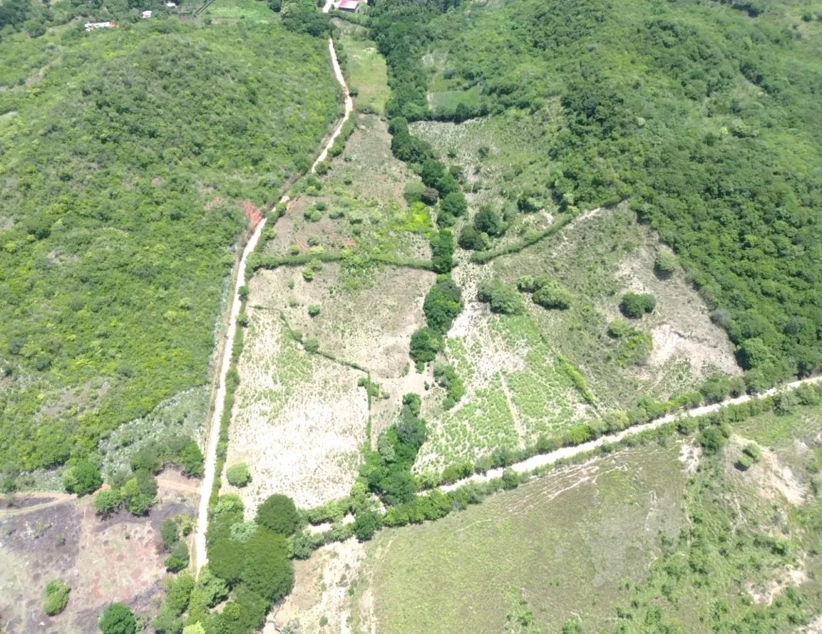 Terreno de 8.96 ha en El Otoal, Natá, Coclé
