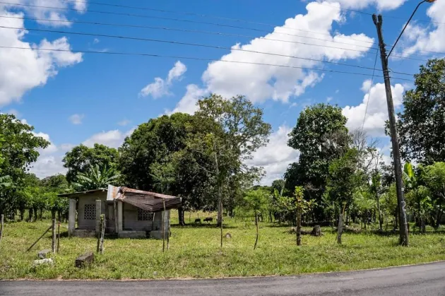 Terreno Plano en Venta en Bijugual, Bugaba Chiriqui