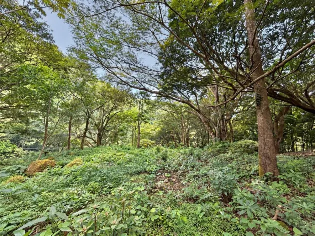 Amplio Lote para Casa de Montaña en Altos del María