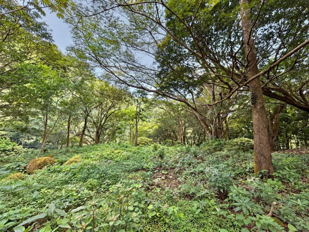 Elevated Corner Lot in Valle de la Toscana, Altos