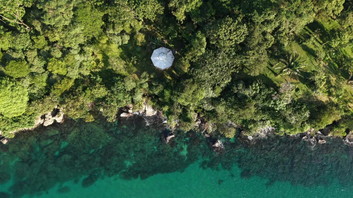 Drago Sea and Jungle Dream View