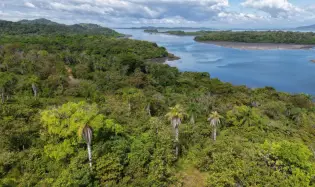 10.5 Hectare Road Accessible Island Lot