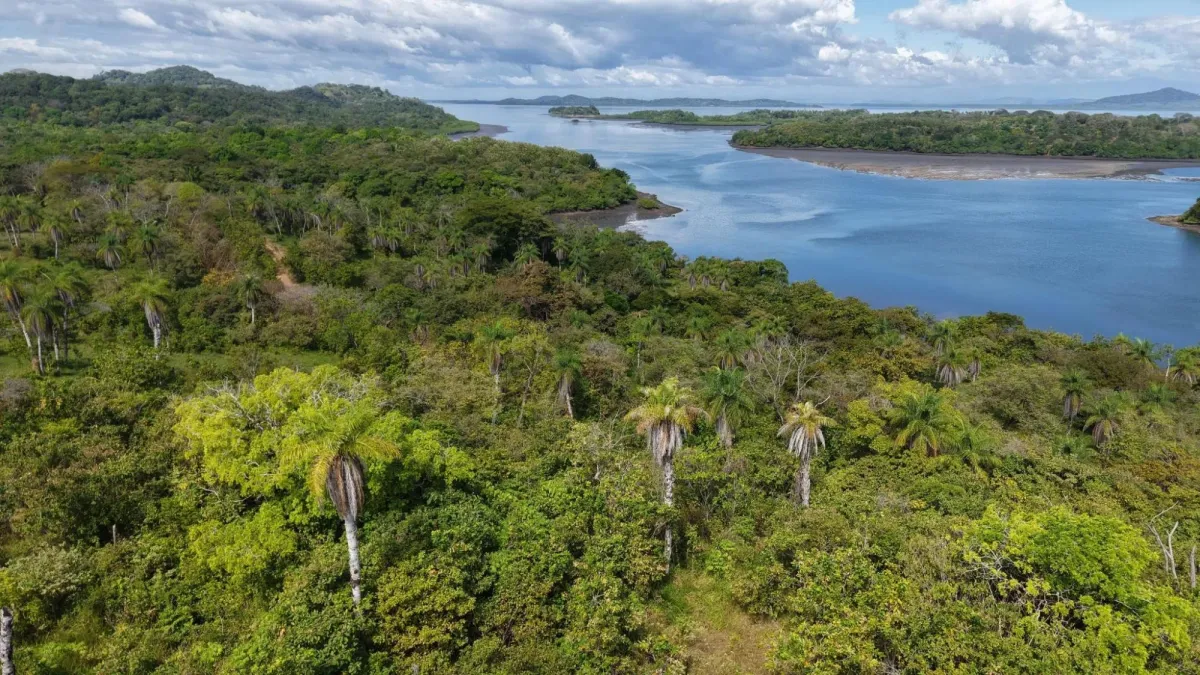10.5 Hectare Road Accessible Island Lot